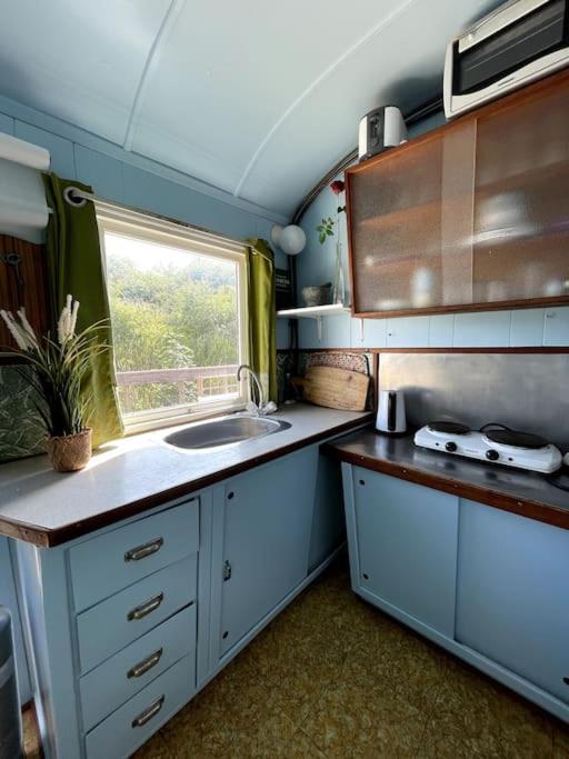 Appartement Fjordhytten. Rebuild Train Wagon From 1937. à Odense Extérieur photo